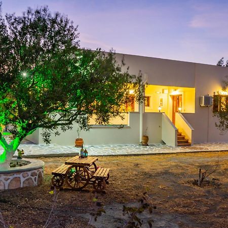 Olive Studios Karpathos Studio #1 Esterno foto