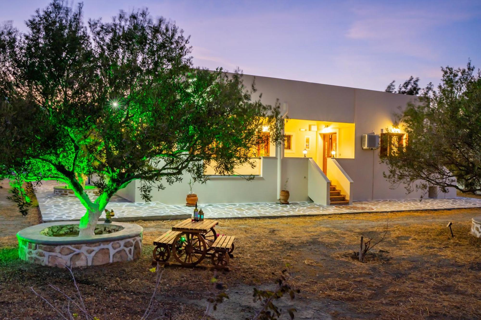 Olive Studios Karpathos Studio #1 Esterno foto