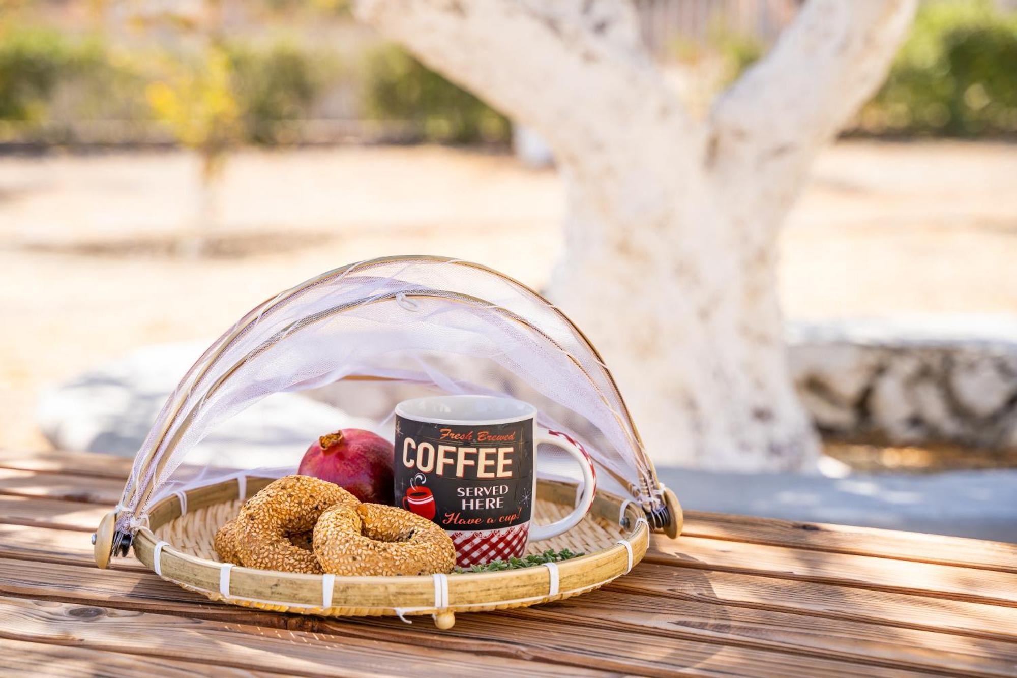 Olive Studios Karpathos Studio #1 Esterno foto