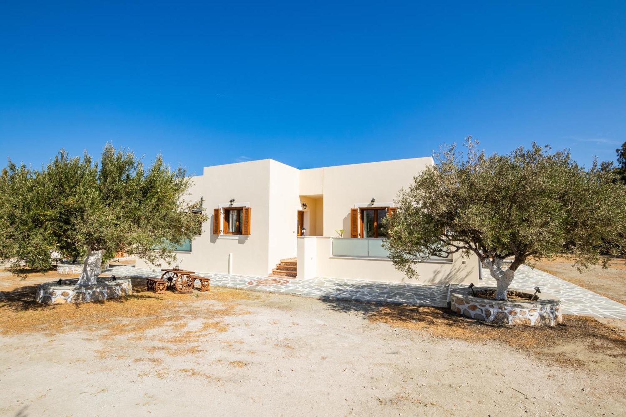 Olive Studios Karpathos Studio #1 Esterno foto