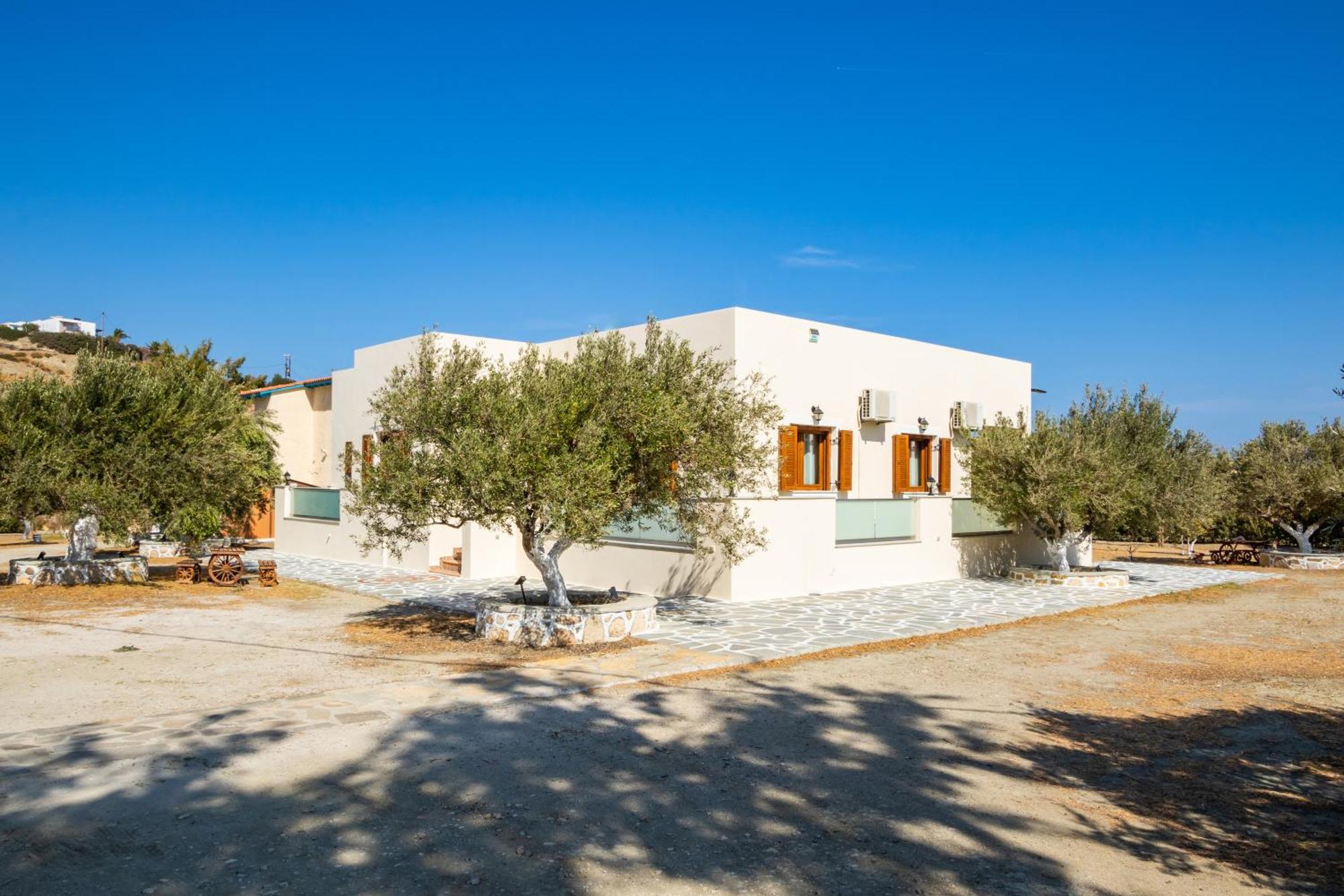 Olive Studios Karpathos Studio #1 Esterno foto