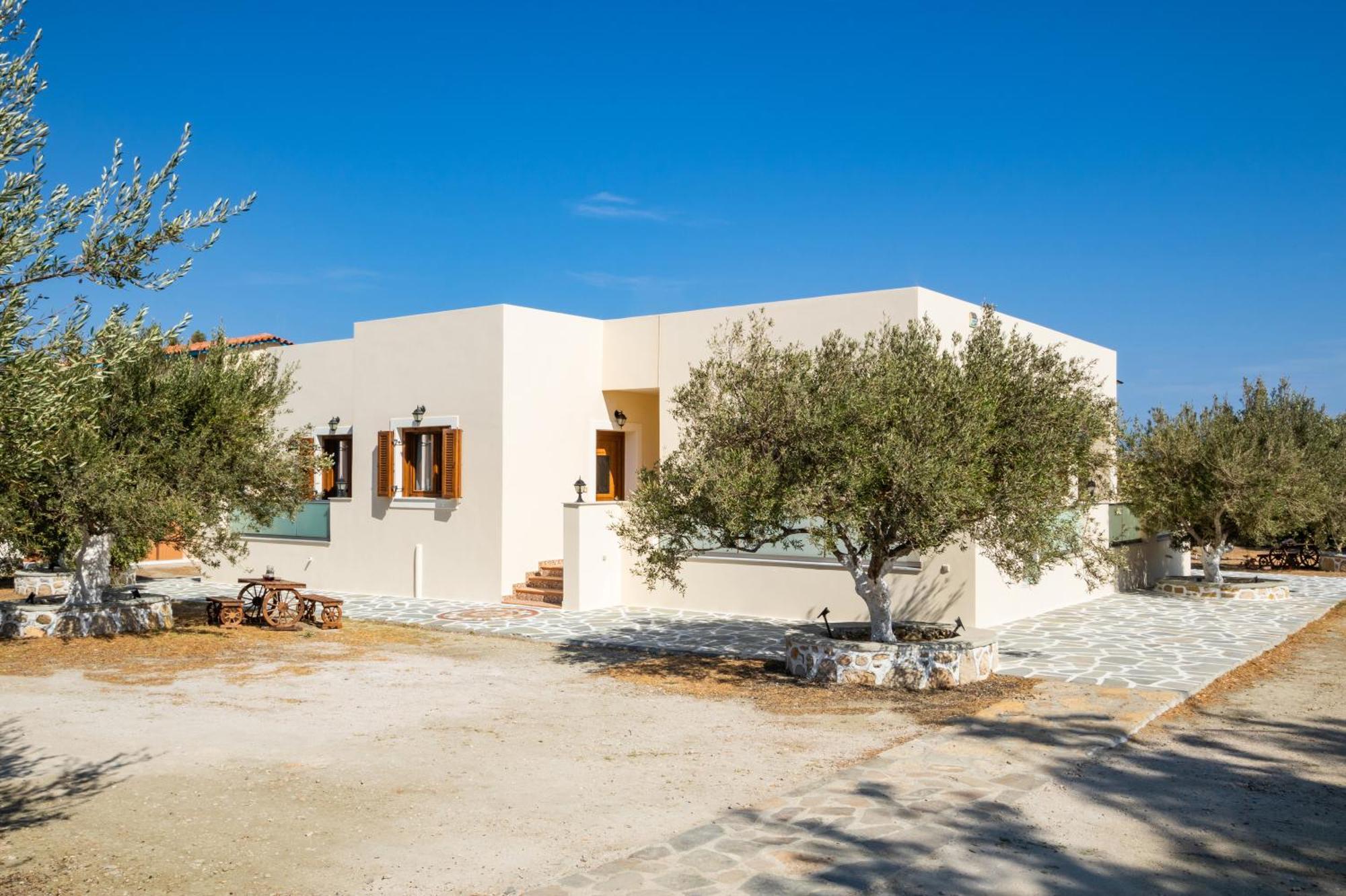 Olive Studios Karpathos Studio #1 Esterno foto