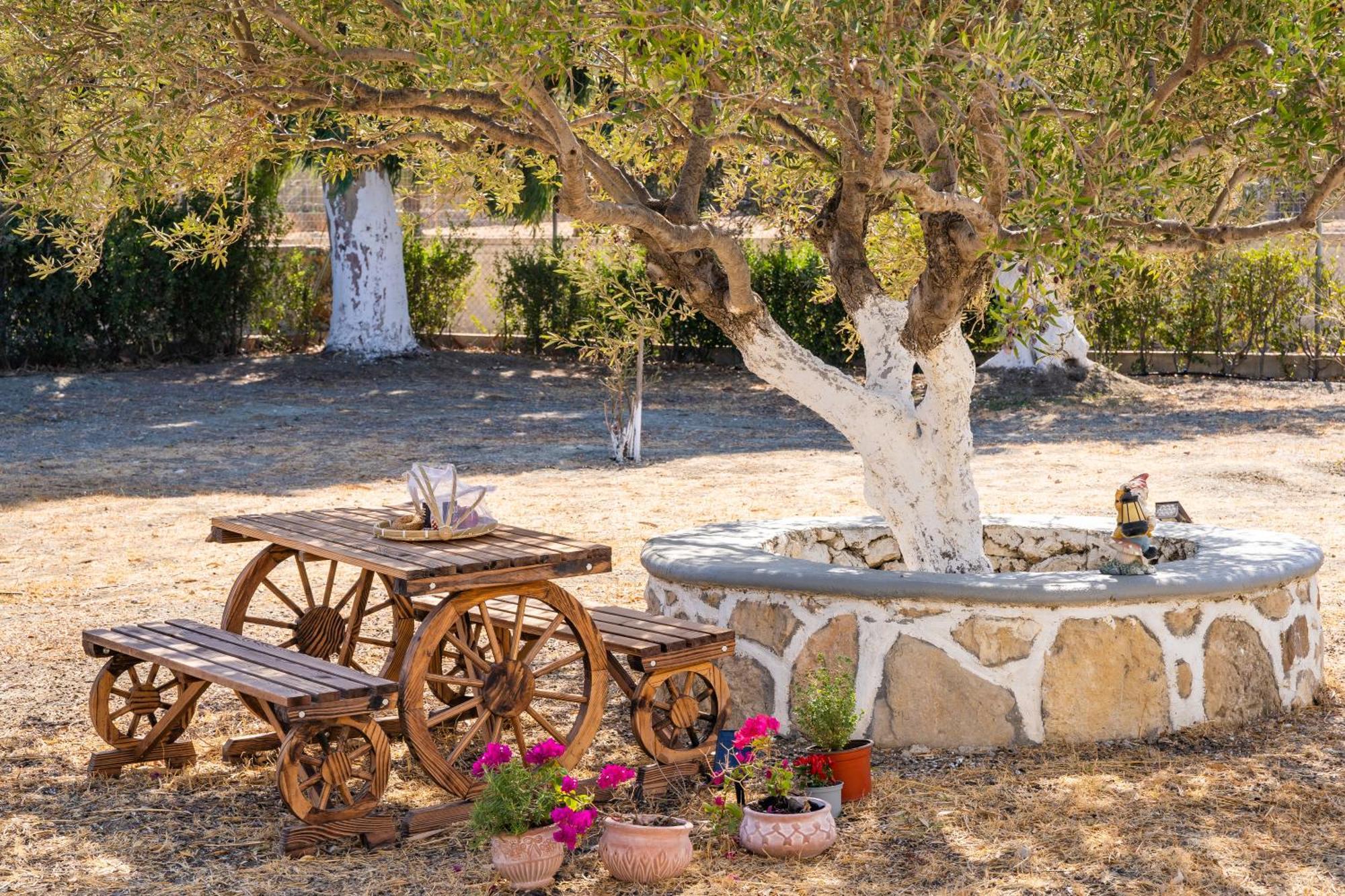 Olive Studios Karpathos Studio #1 Esterno foto