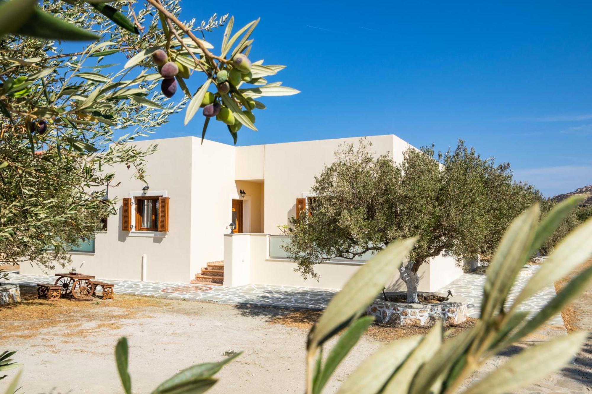 Olive Studios Karpathos Studio #1 Esterno foto