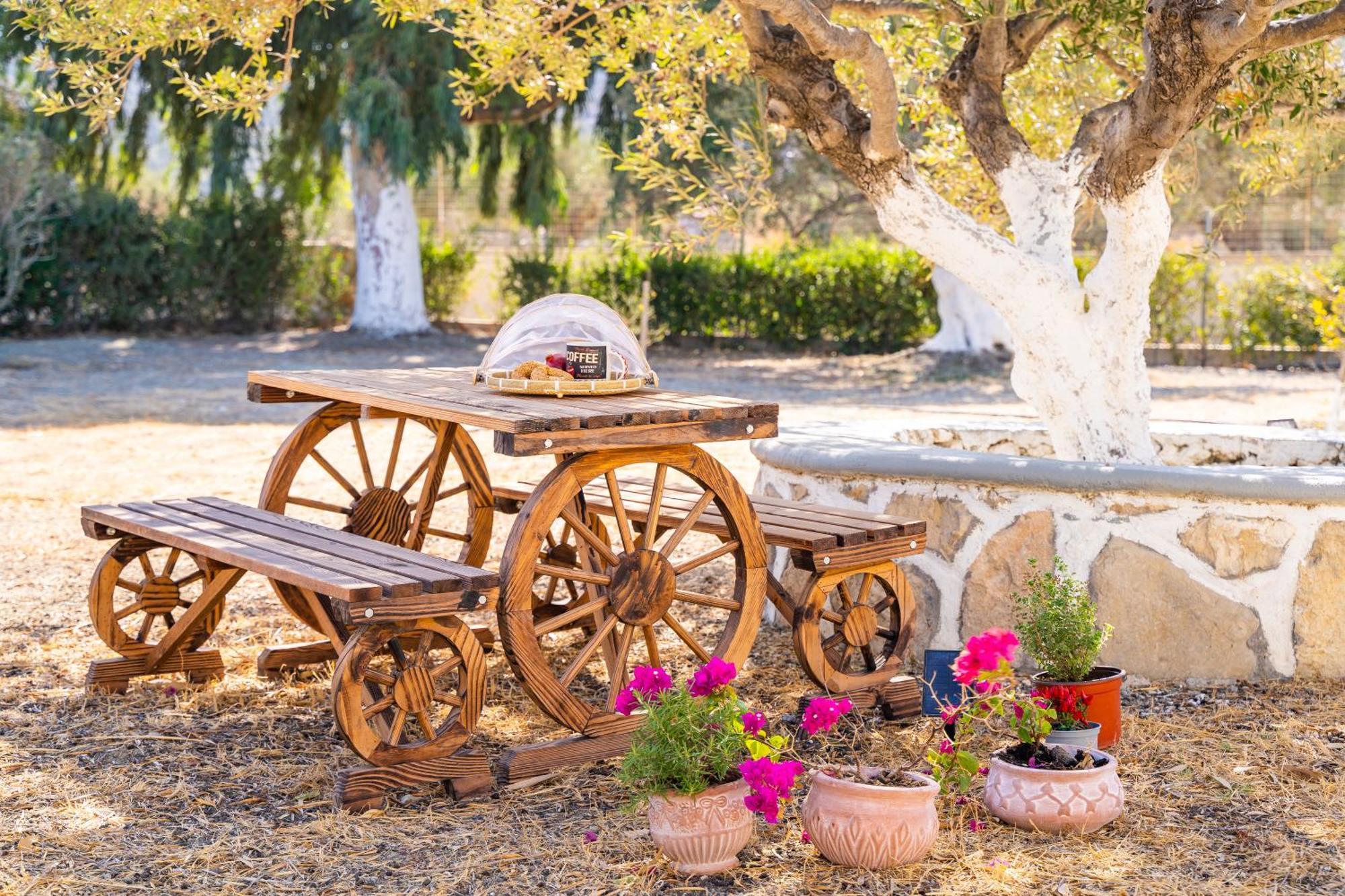 Olive Studios Karpathos Studio #1 Esterno foto